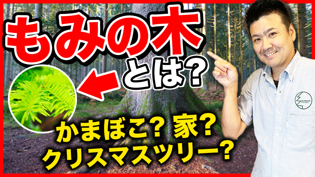 Youtube 動画 2