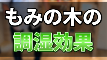 ショート動画
